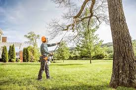 Seasonal Cleanup in Liberty Triangle, FL